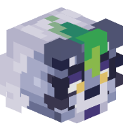 DR4G4NS