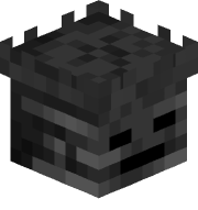 CX_TY31