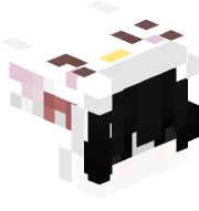 whoisfishy
