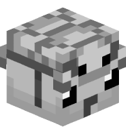 _BlackTurtle_
