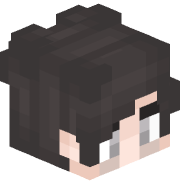 lookingcase