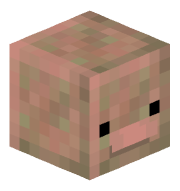 Faze_adam9521