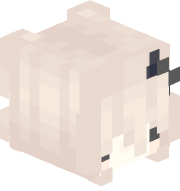 SquicksySquidBA