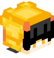 duckiiXP