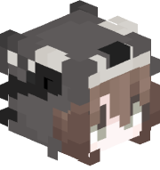 Coincoin01