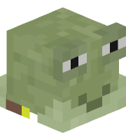 Maple___