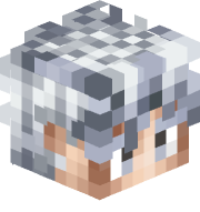 elgokuss