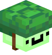 TurtleSpaghetti