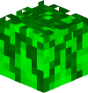 Голова Minecraft — Aloe Vera Plant
