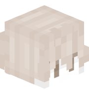 __7h