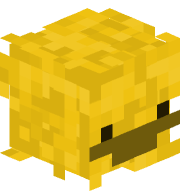 VShadov