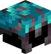 TinkerRy