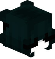 xilolxz