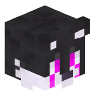 _Enhypen_