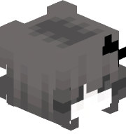Hgbao209