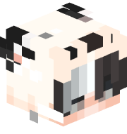 KenNg_