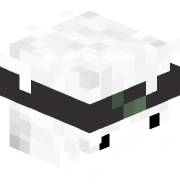 c3l_