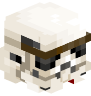 MaskedMask3324