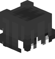 Leinnerr