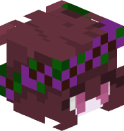 Kidusrotta