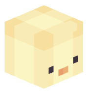 sooxcat