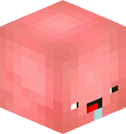 eyto11