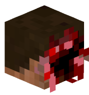 ngueybd