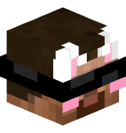 visafe