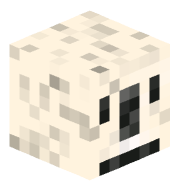 Bob_the_koala