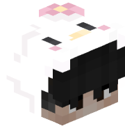 pjmaner
