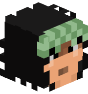 CrankTop