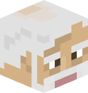 MintaNaj20