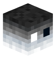 benjamin_zx