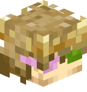 turtle5568
