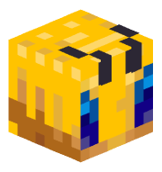 mzoard13