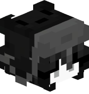AutoBypass