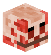 zukamemi