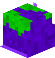 cooisdumb