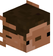 DrDinut