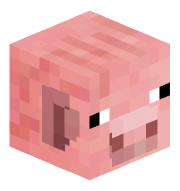 vingerpus