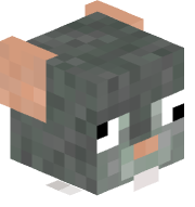 Jsp_V