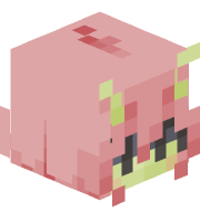 cozmiichu
