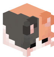 yoyleland