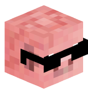EdgarTVT