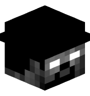 Bidex21
