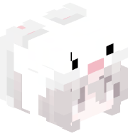 kittypwws