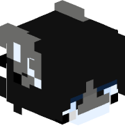 czy2200