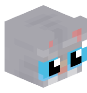 KittenAce