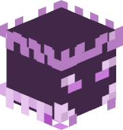 Bookerthedumbwit
