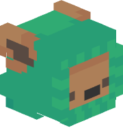 KotaraSama
